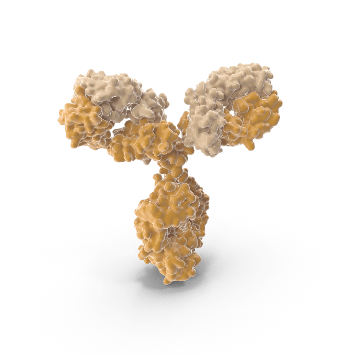 [0513-CABT-B8825MH] Mouse Anti Human Iga1 Monoclonal Antibody